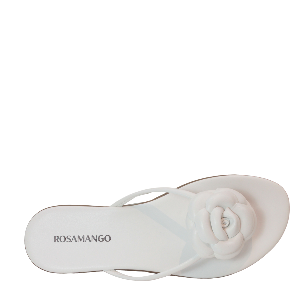 Flat Rosamango Camelia