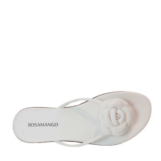 Flat Rosamango Camelia