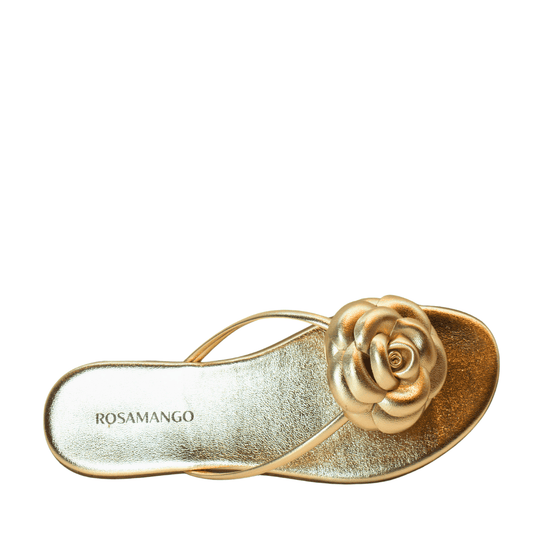 Flat Rosamango Camelia